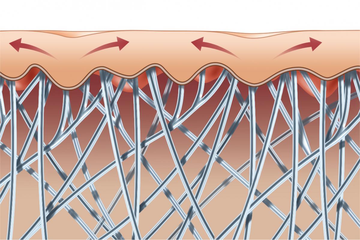 Где взять нужный коллаген?