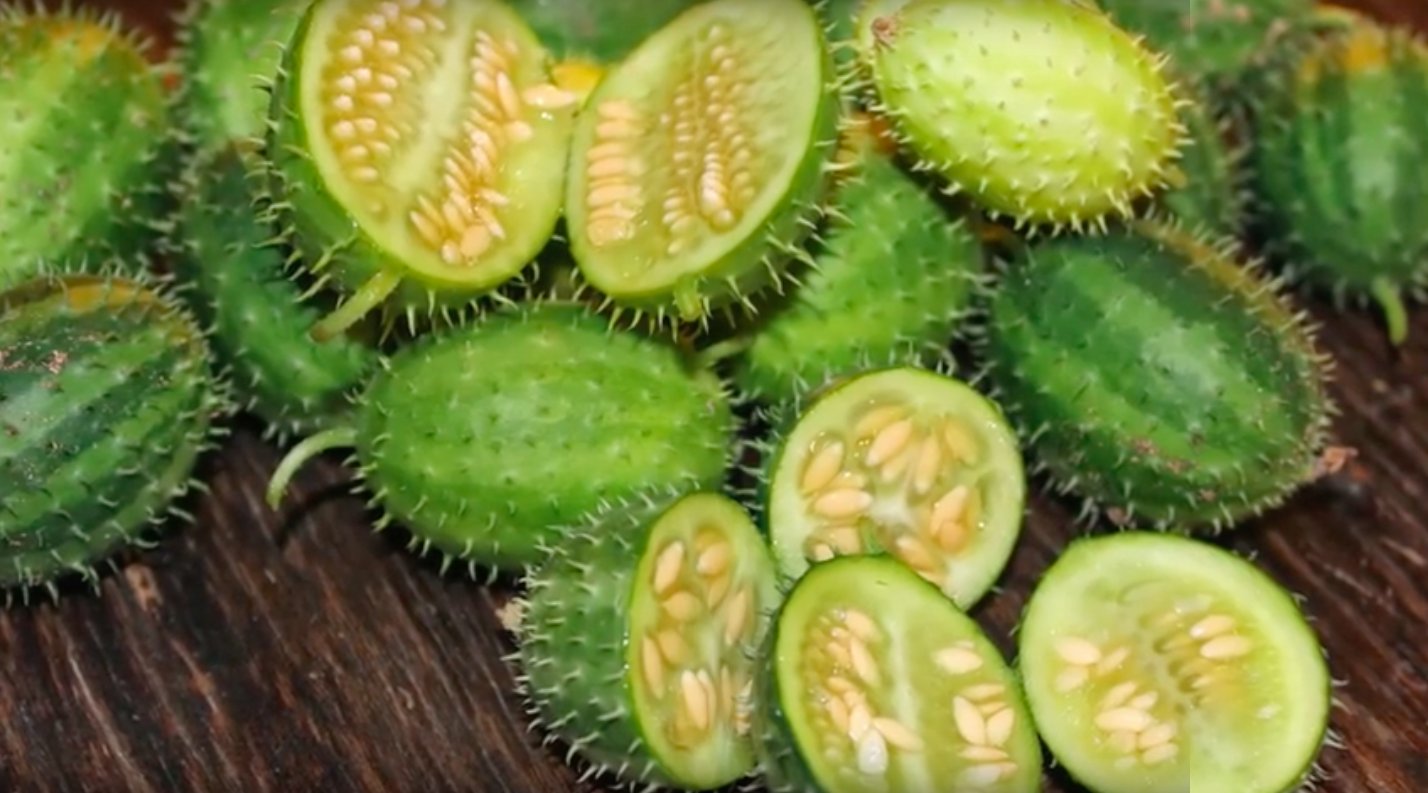Cucumbers