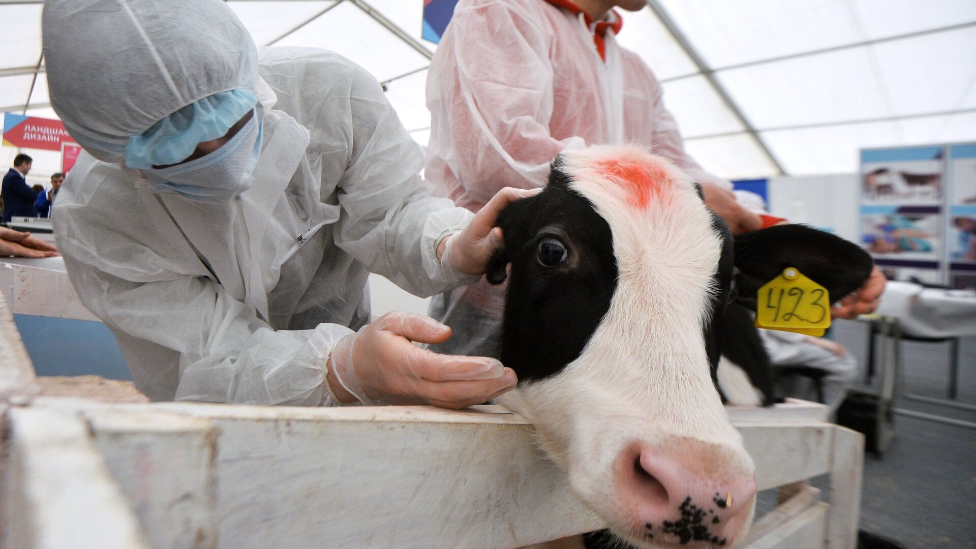 Slaughter specialist