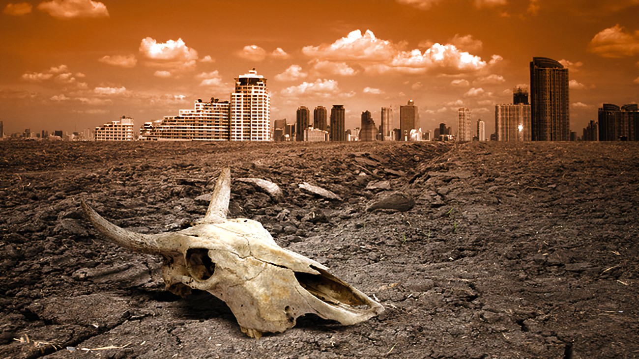 We Are In The Middle Of A Mass Extinction Right Now