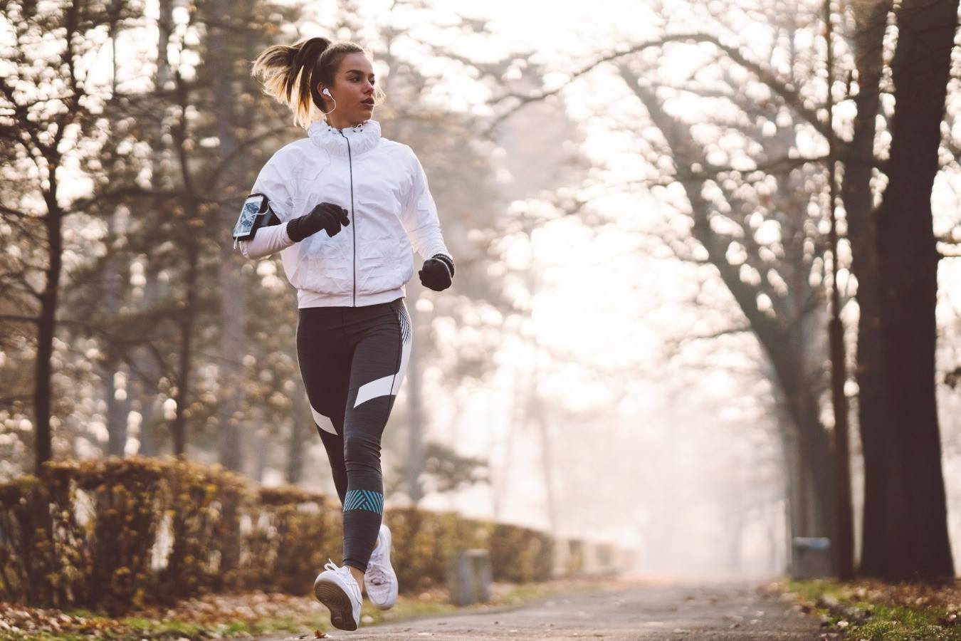 Can increase your lifespan