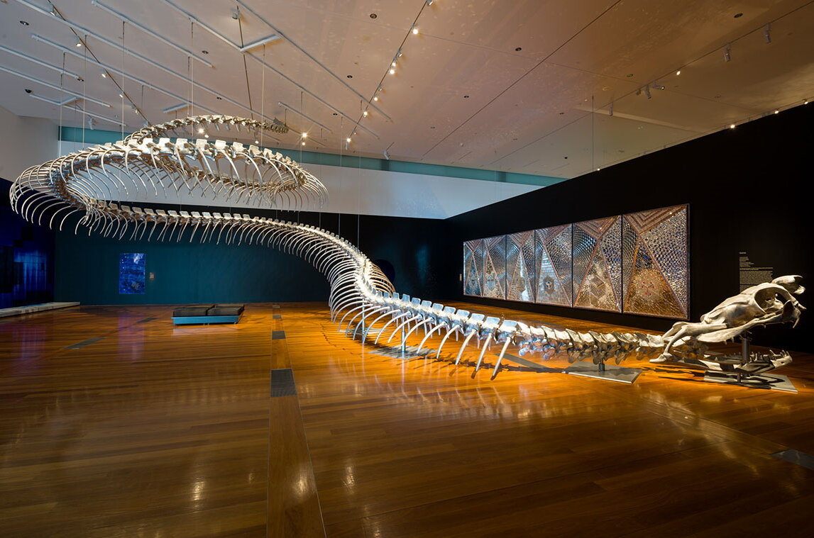 Gigantic Danger Noodle — Titanoboa