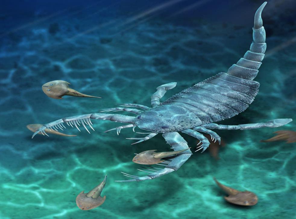 Sea Scorpion God — Jaekelopterus