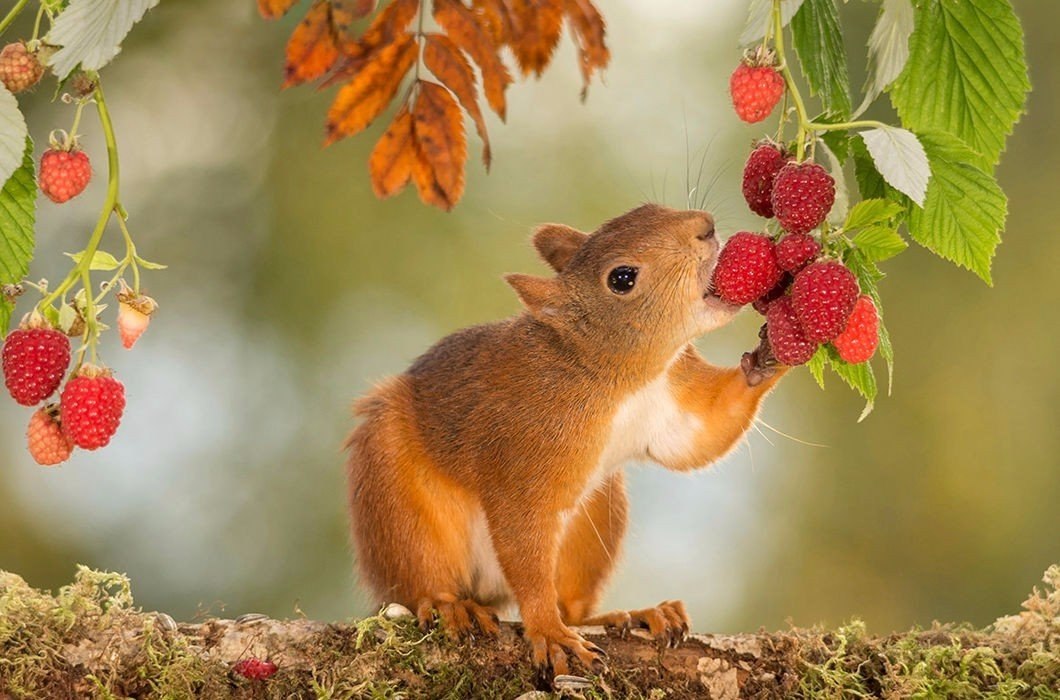 They can be useful during pregnancy