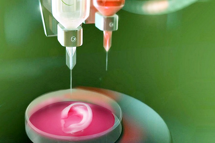 3D Bioprinting