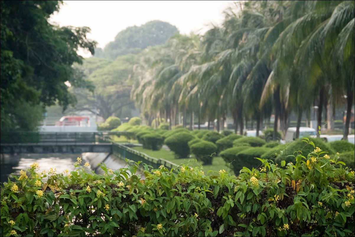 Unwind at East Coast Park
