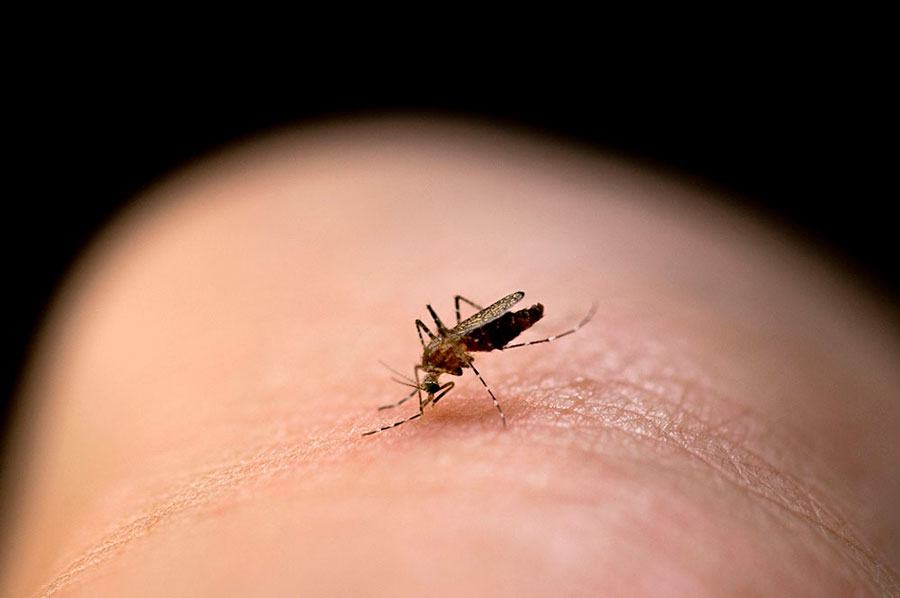 Malaria Control Specialist