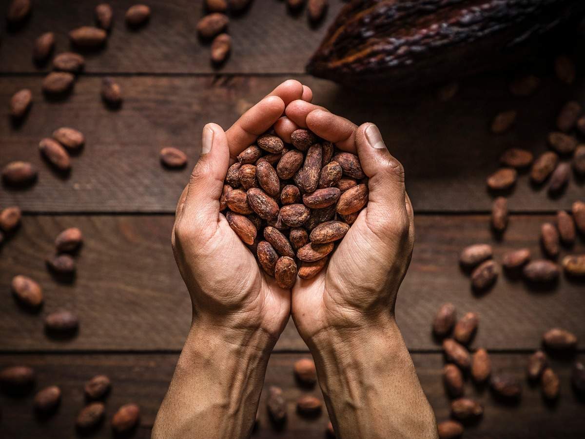 400 beans are used to make a pound of chocolate