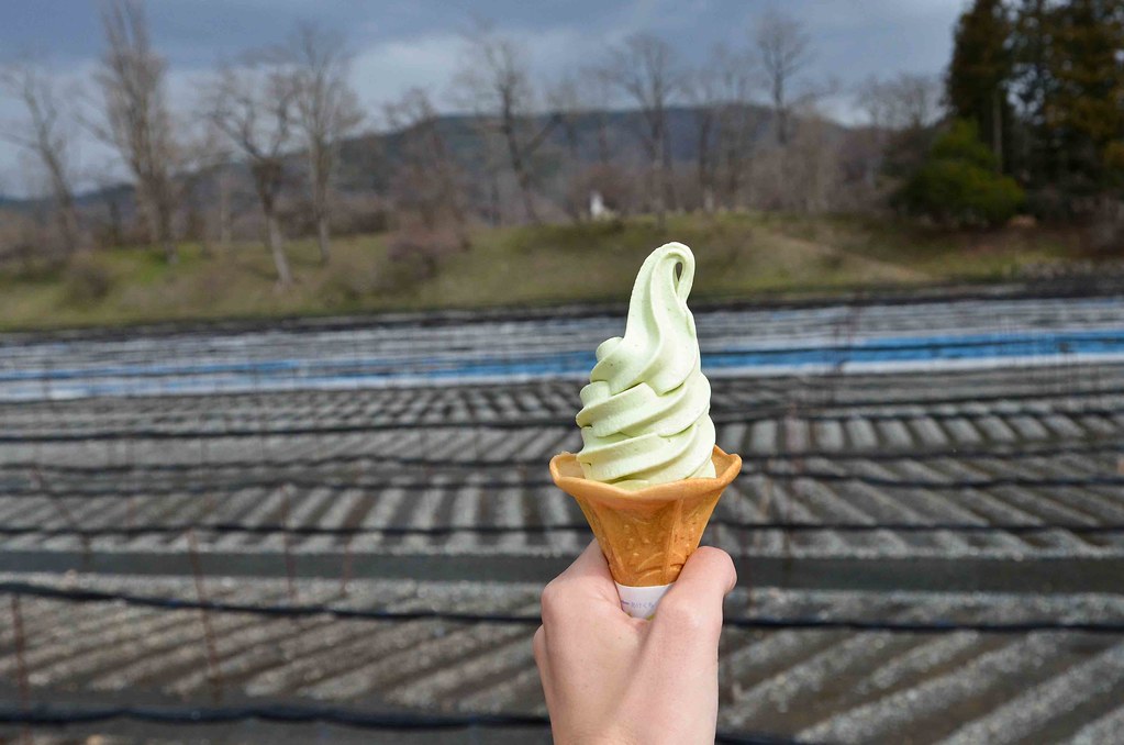 Wasabi Ice Cream