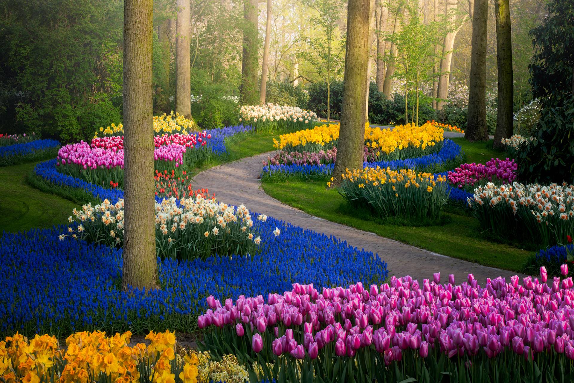 Keukenhof – The Garden of Europe