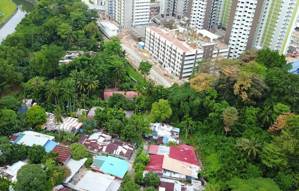 Kampong Lorong Buangkok: The Last Village in Singapore