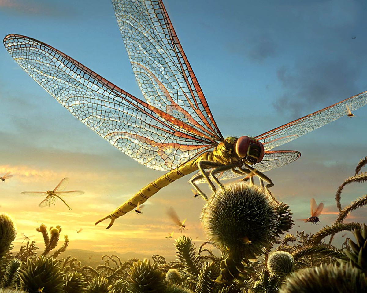 Giant Dragonfly — Meganeuropsis