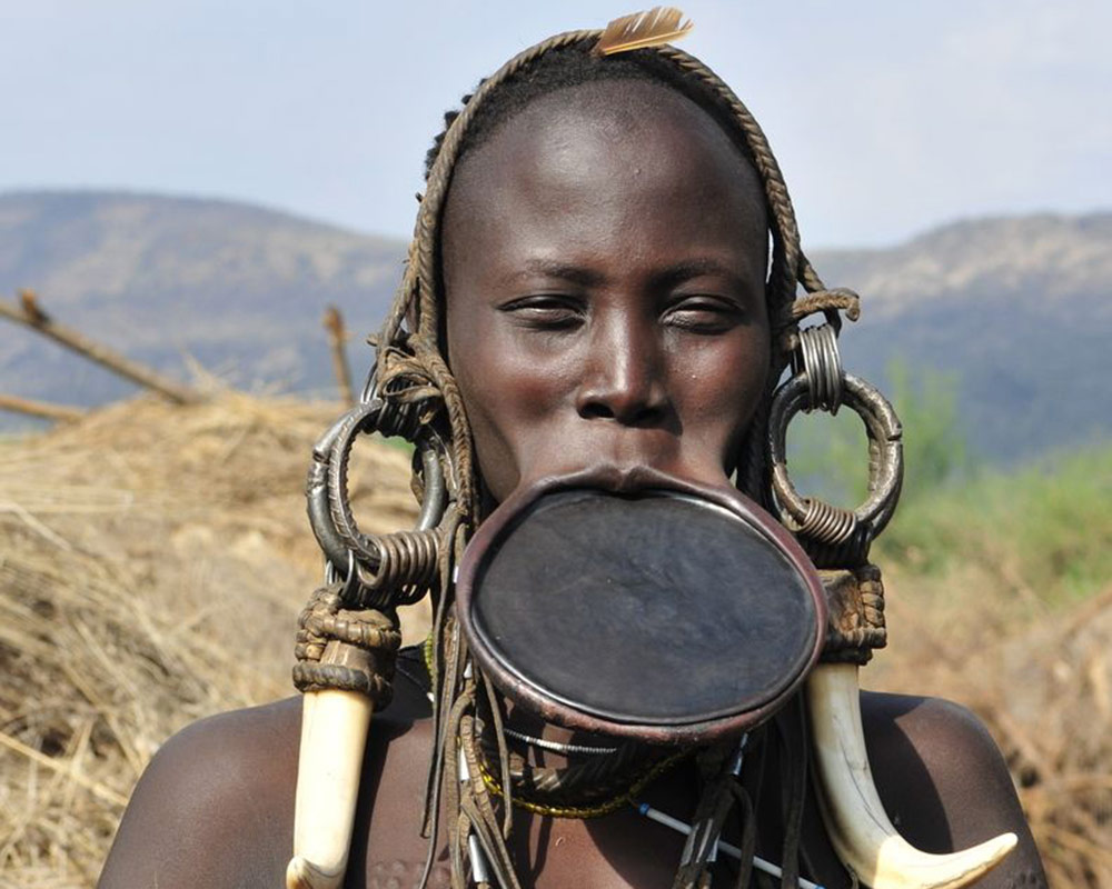 Lip Plate