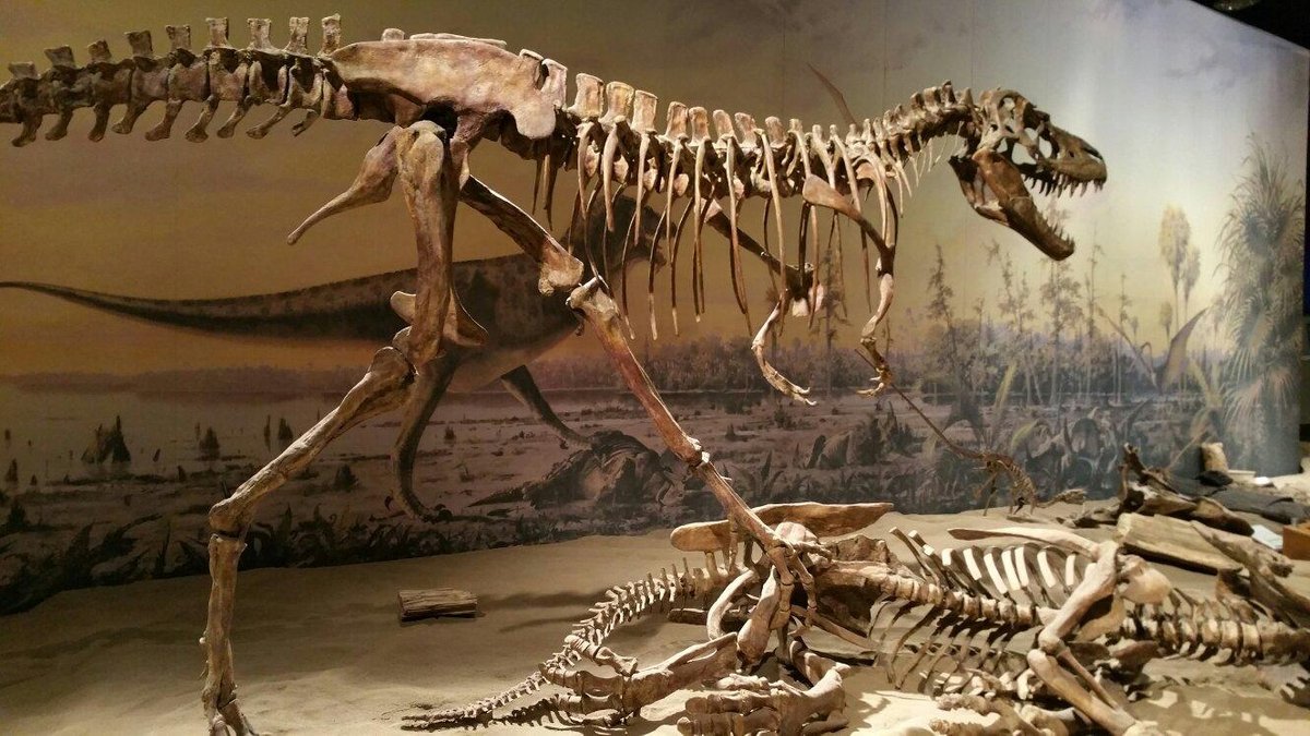 Royal Tyrell Museum (Drumheller, Alberta)
